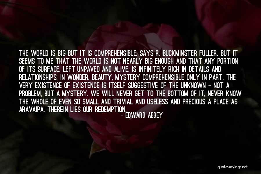 Unknown Relationships Quotes By Edward Abbey