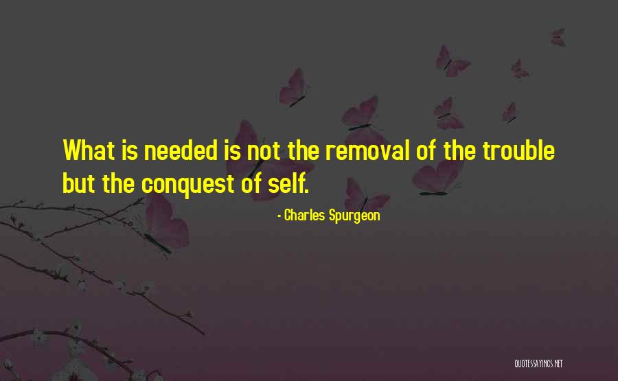 Unlikeliest Hero Quotes By Charles Spurgeon
