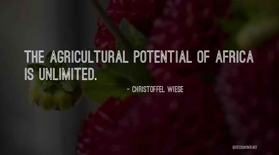 Unlimited Potential Quotes By Christoffel Wiese