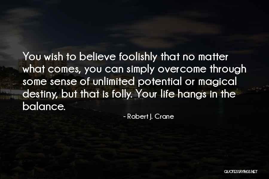 Unlimited Potential Quotes By Robert J. Crane