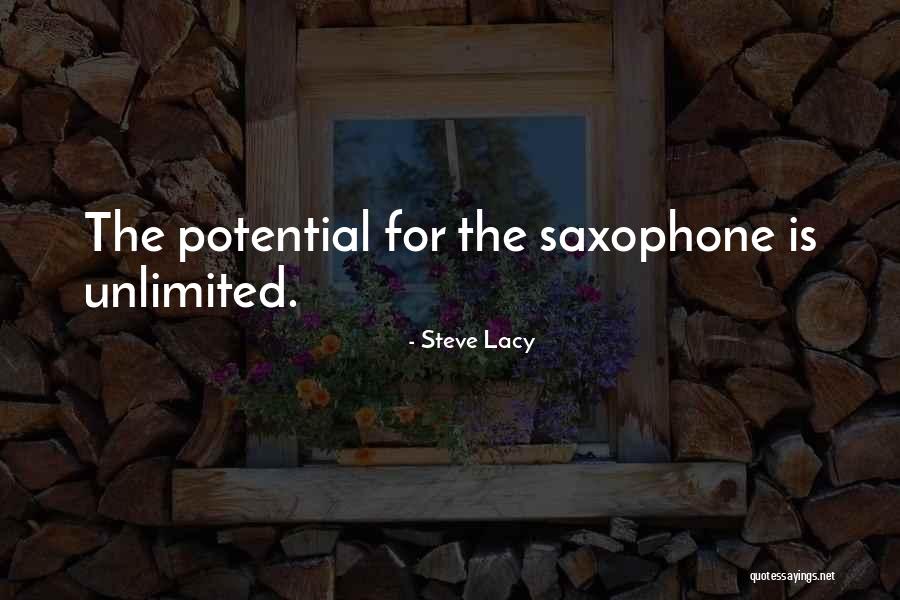 Unlimited Potential Quotes By Steve Lacy