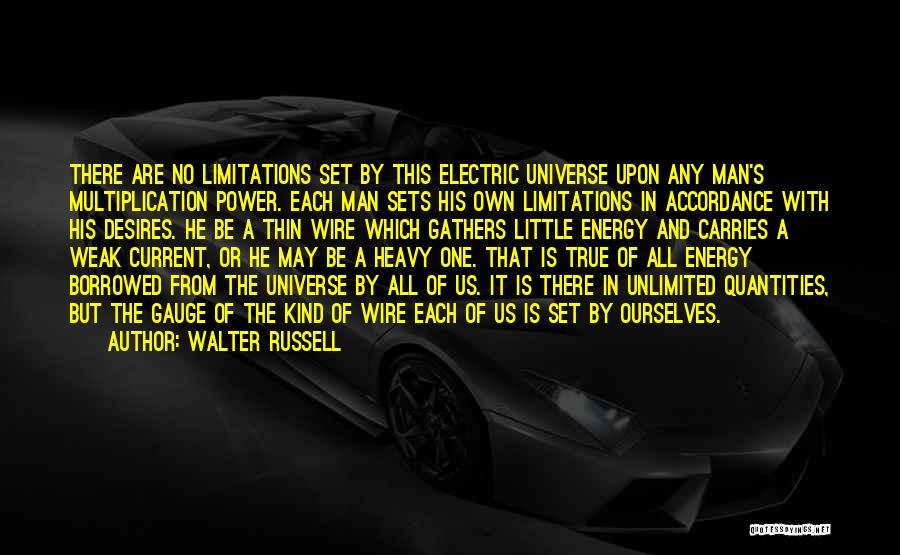 Unlimited Power Quotes By Walter Russell