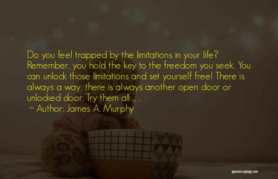 Unlock Door Quotes By James A. Murphy