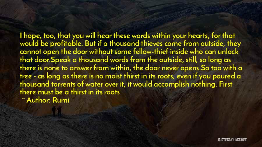 Unlock Door Quotes By Rumi