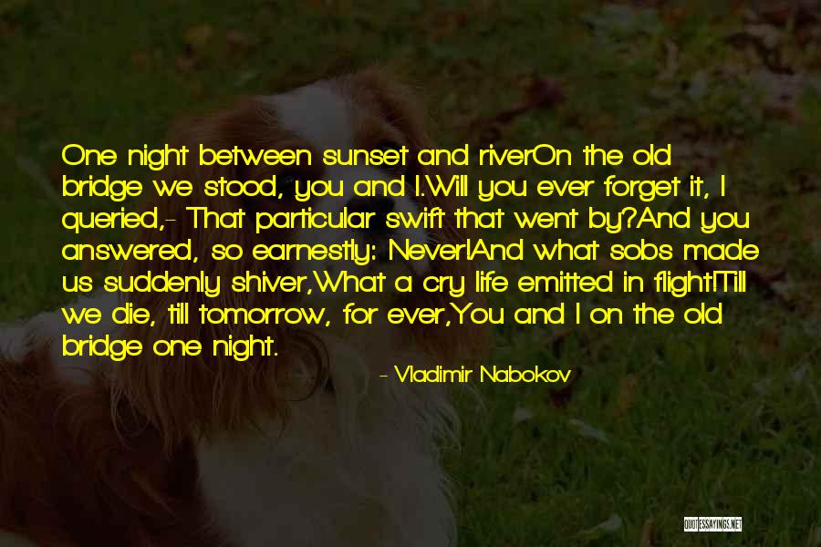 Unmarriageable Women Quotes By Vladimir Nabokov Unmarriageable Women Quotes By Vladimir Nabokov