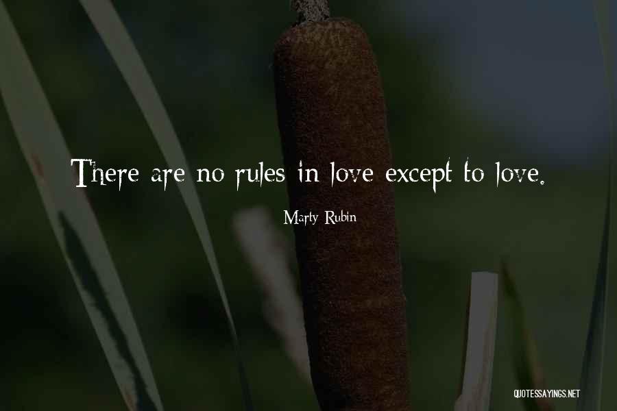 Unmeltable Quotes By Marty Rubin Unmeltable Quotes By Marty Rubin