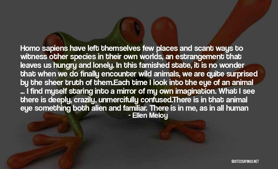 Unmercifully Quotes By Ellen Meloy Unmercifully Quotes By Ellen Meloy
