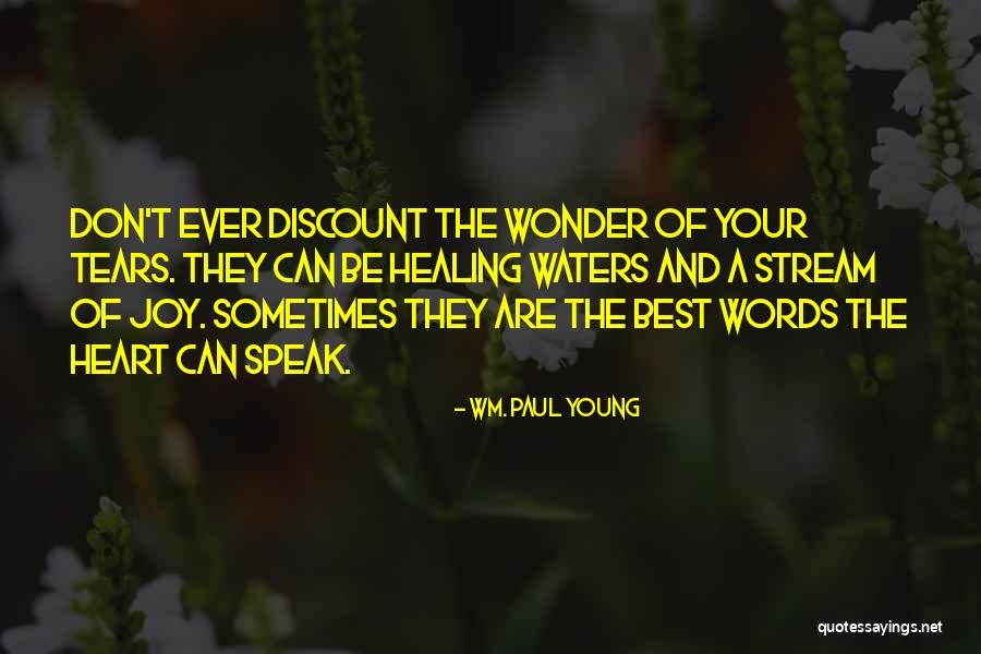 Unmglich Quotes By Wm. Paul Young Unmglich Quotes By Wm. Paul Young