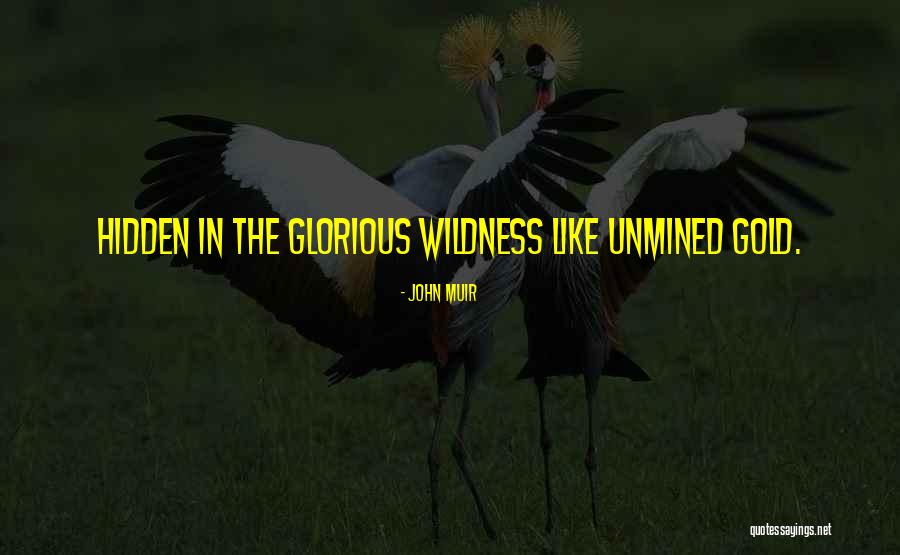 Unmined Quotes By John Muir