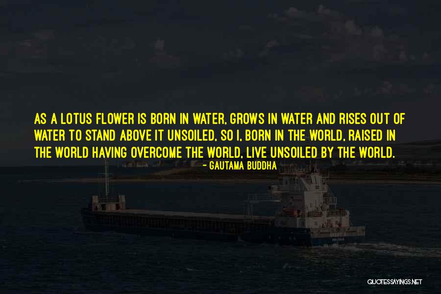 Unmistaken Stars Quotes By Gautama Buddha Unmistaken Stars Quotes By Gautama Buddha