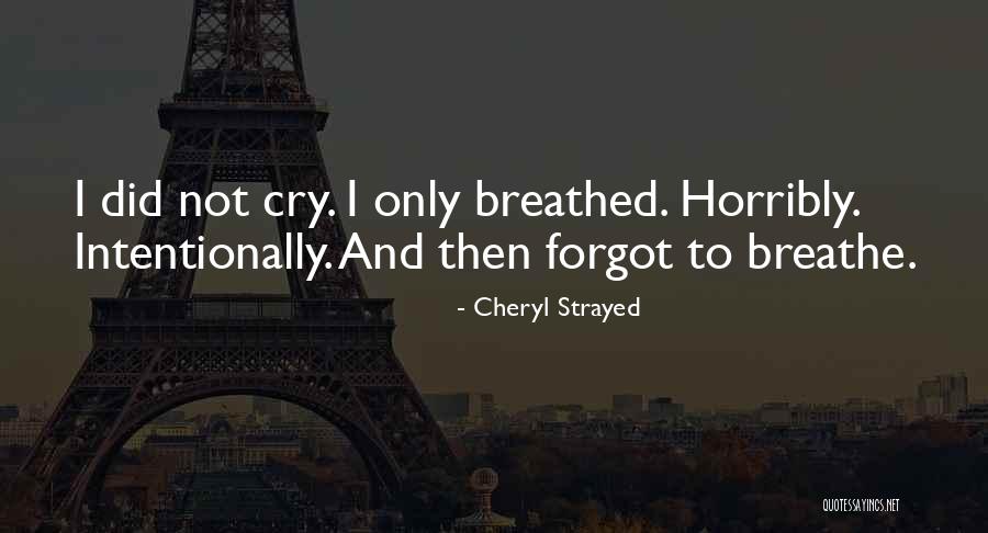 Unmodulated Pain Quotes By Cheryl Strayed Unmodulated Pain Quotes By Cheryl Strayed