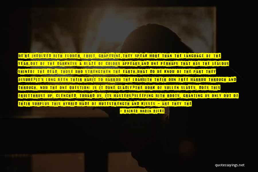 Unmonitored Alarm Quotes By Rainer Maria Rilke Unmonitored Alarm Quotes By Rainer Maria Rilke