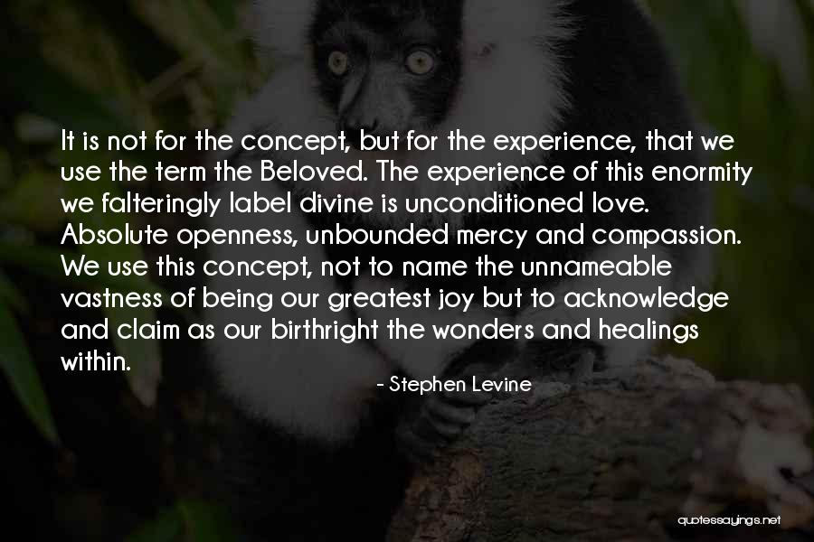 Unnameable Quotes By Stephen Levine Unnameable Quotes By Stephen Levine