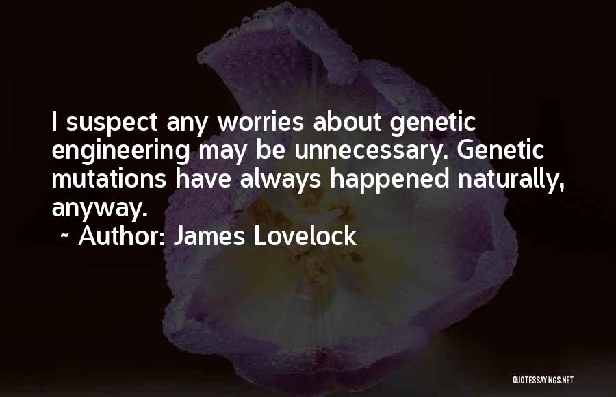 Unnecessary Quotes By James Lovelock