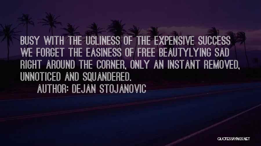 Unnoticed Beauty Quotes By Dejan Stojanovic