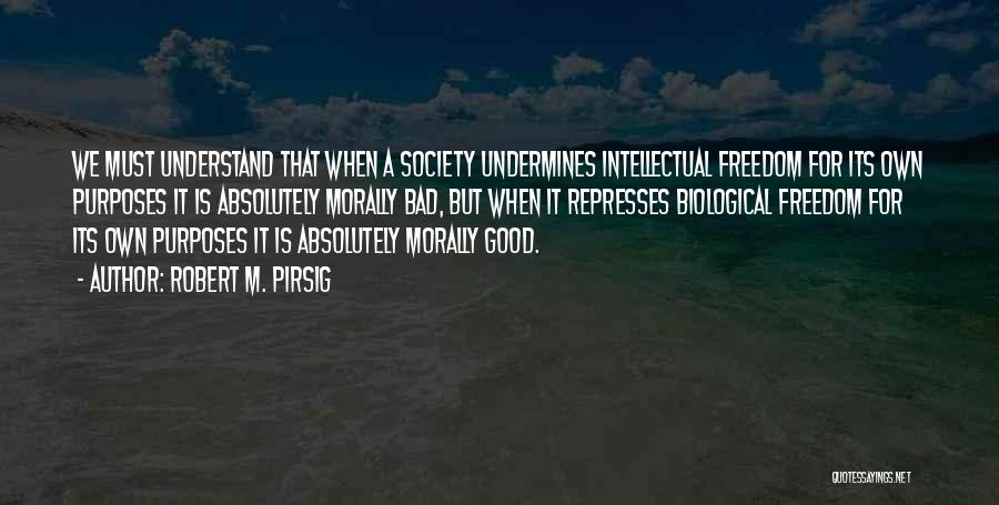 Unnoticed Effort Quotes By Robert M. Pirsig