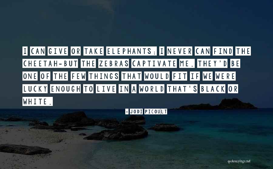 Unobligated Time Quotes By Jodi Picoult Unobligated Time Quotes By Jodi Picoult