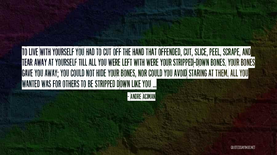 Unobservable Mechanisms Quotes By Andre Aciman Unobservable Mechanisms Quotes By Andre Aciman