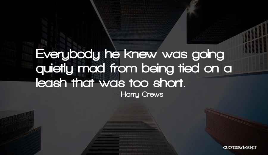 Unordered List Quotes By Harry Crews Unordered List Quotes By Harry Crews