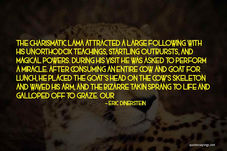 Unorthodox Life Quotes By Eric Dinerstein Unorthodox Life Quotes By Eric Dinerstein