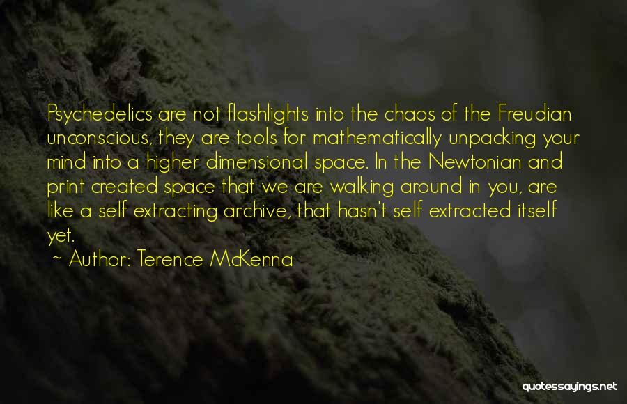 Unpacking Quotes By Terence McKenna