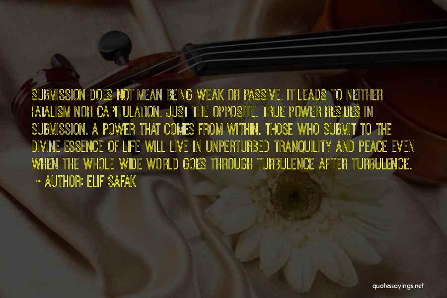 Unperturbed Quotes By Elif Safak