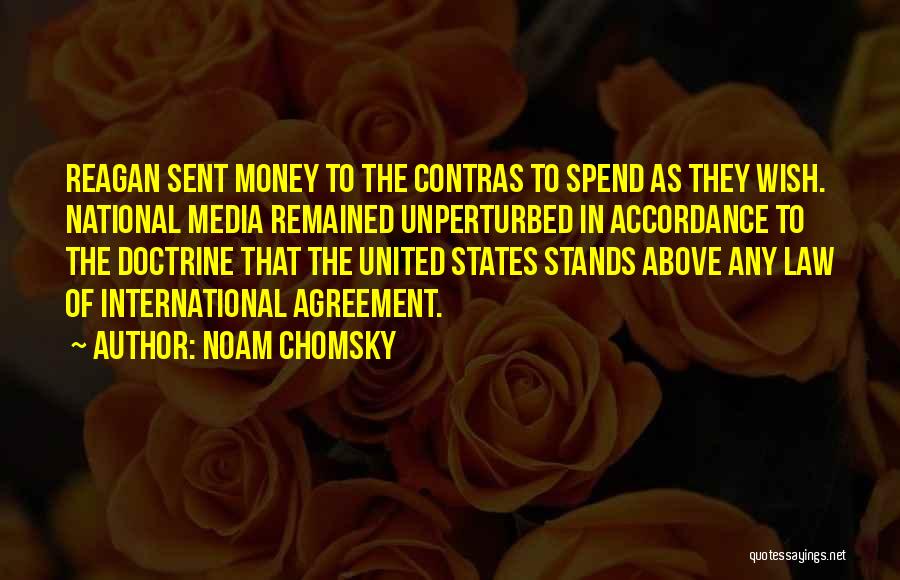 Unperturbed Quotes By Noam Chomsky