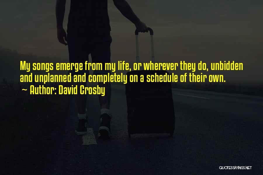 Unplanned Life Quotes By David Crosby