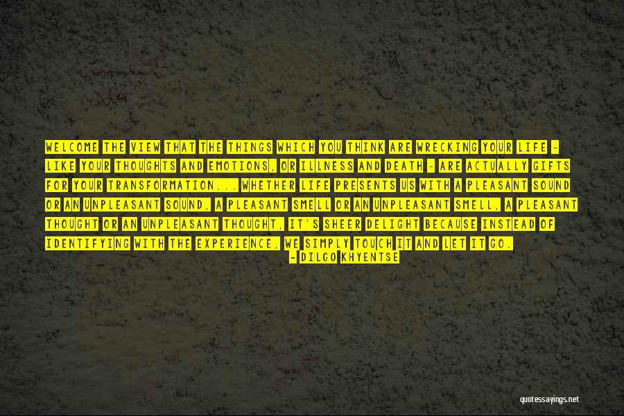 Unpleasant Things Quotes By Dilgo Khyentse Unpleasant Things Quotes By Dilgo Khyentse