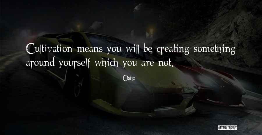 Unplumable Quotes By Osho Unplumable Quotes By Osho
