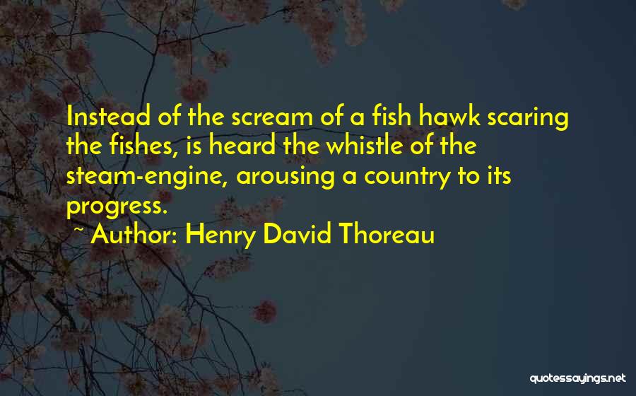 Unpopular Friendship Quotes By Henry David Thoreau