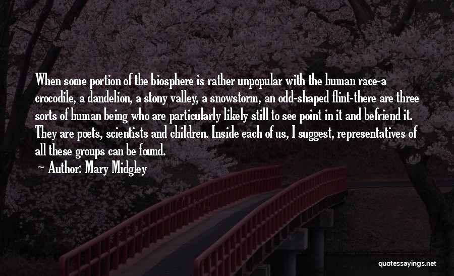 Unpopular Quotes By Mary Midgley