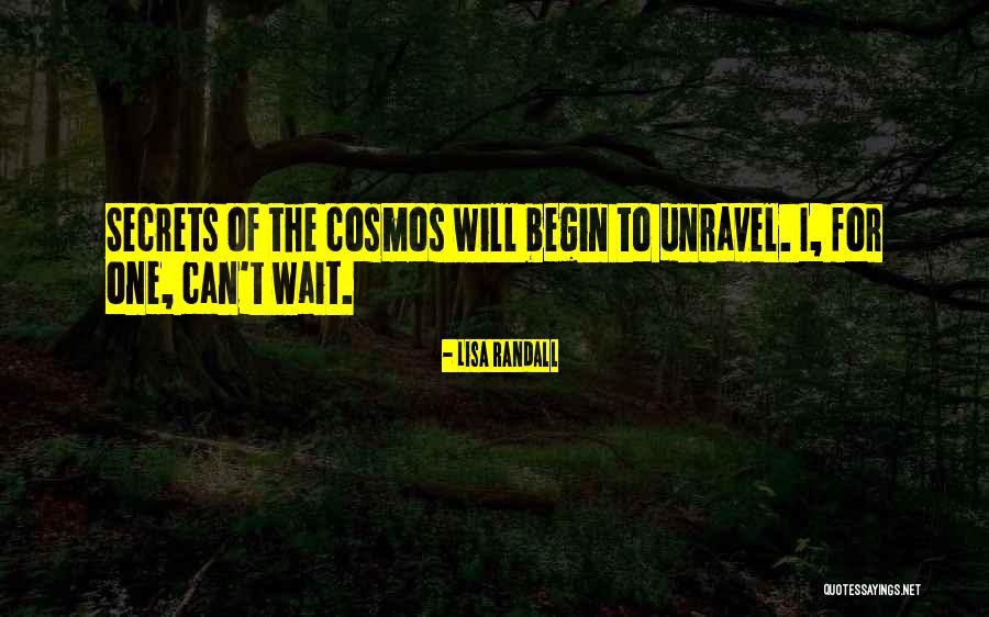 Unravel Quotes By Lisa Randall