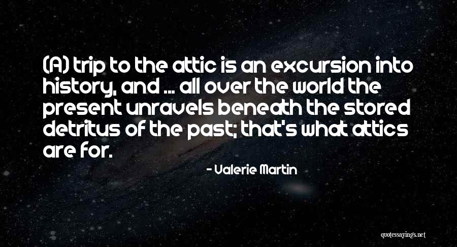 Unravels Quotes By Valerie Martin Unravels Quotes By Valerie Martin