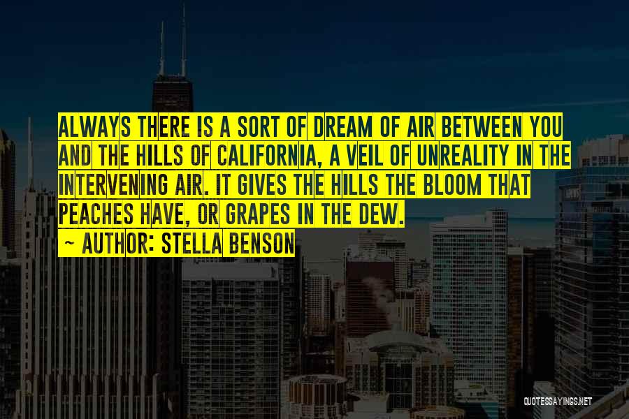 Unreality Quotes By Stella Benson
