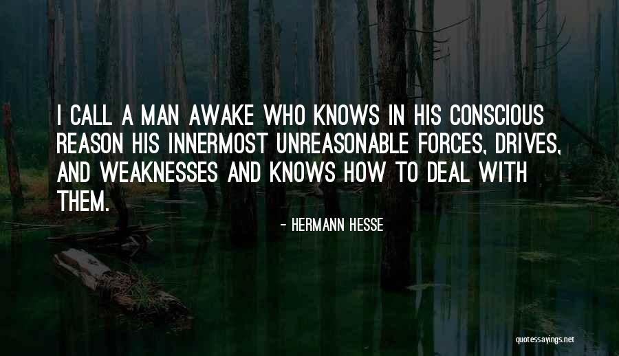 Unreasonable Man Quotes By Hermann Hesse