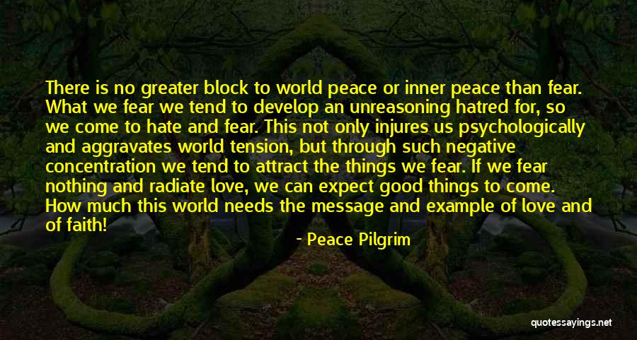 Unreasoning Fear Quotes By Peace Pilgrim Unreasoning Fear Quotes By Peace Pilgrim