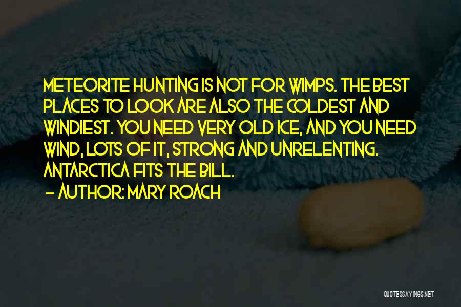 Unrelenting Quotes By Mary Roach