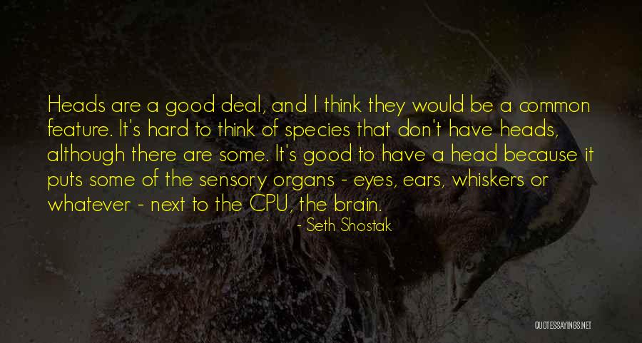 Unrepentantly Quotes By Seth Shostak Unrepentantly Quotes By Seth Shostak