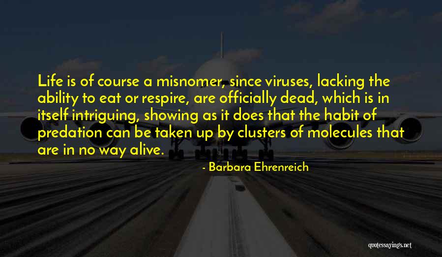 Unrepresented Seller Quotes By Barbara Ehrenreich Unrepresented Seller Quotes By Barbara Ehrenreich