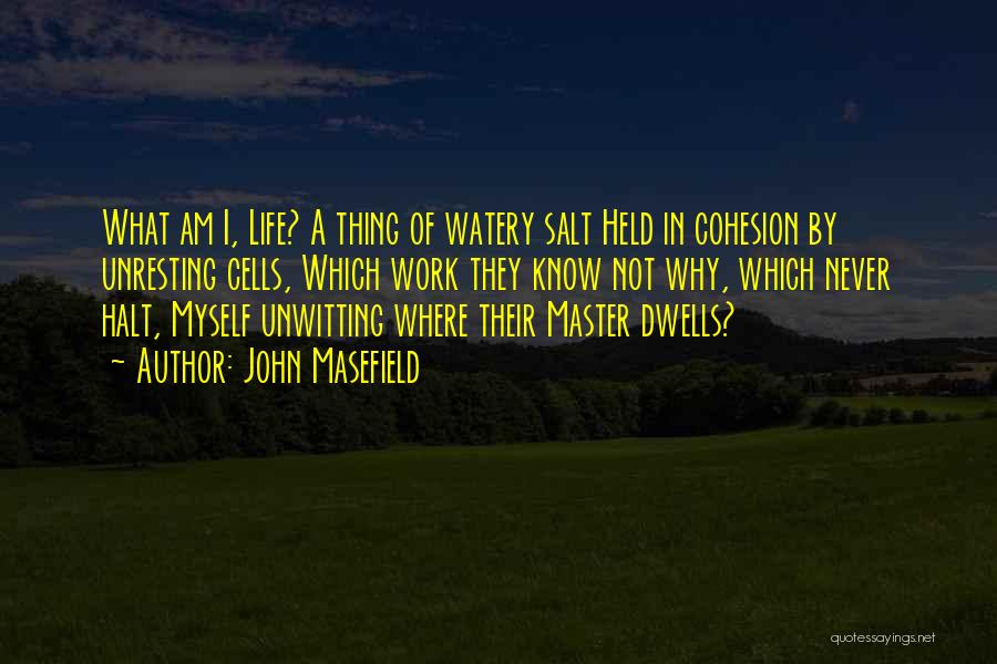 Unresting Quotes By John Masefield