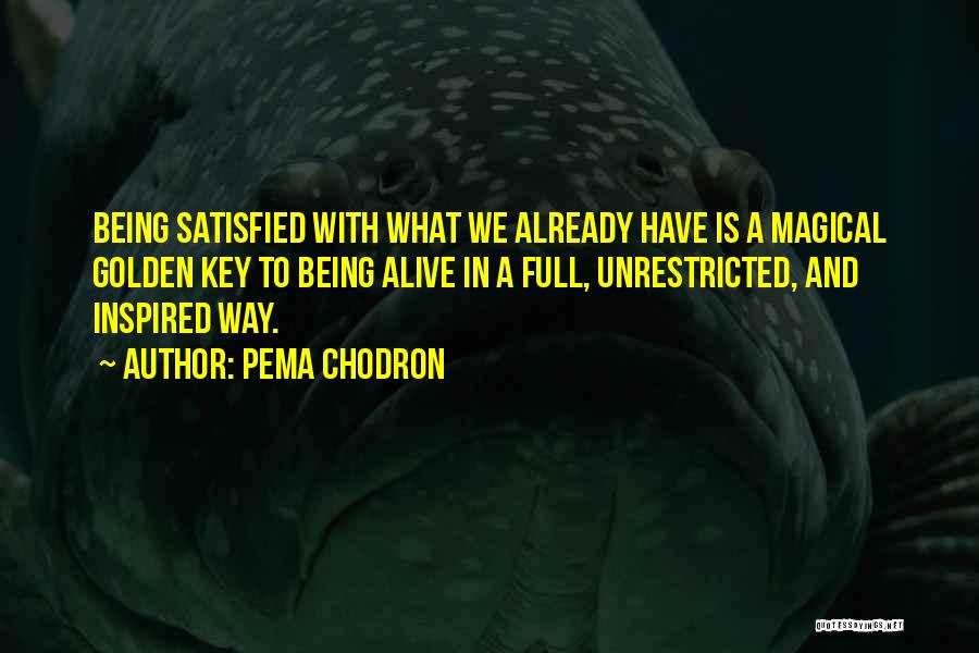 Unrestricted Quotes By Pema Chodron