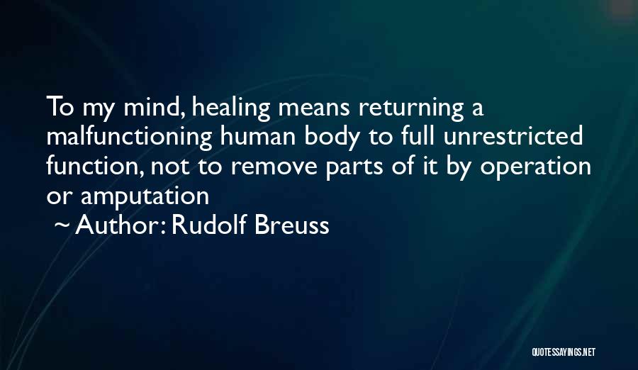 Unrestricted Quotes By Rudolf Breuss