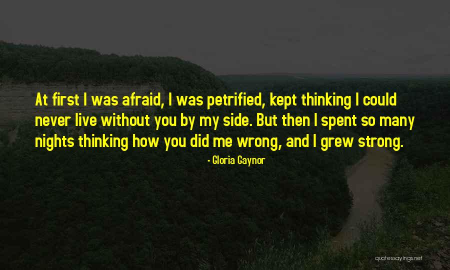 Unrestricting Funds Quotes By Gloria Gaynor Unrestricting Funds Quotes By Gloria Gaynor