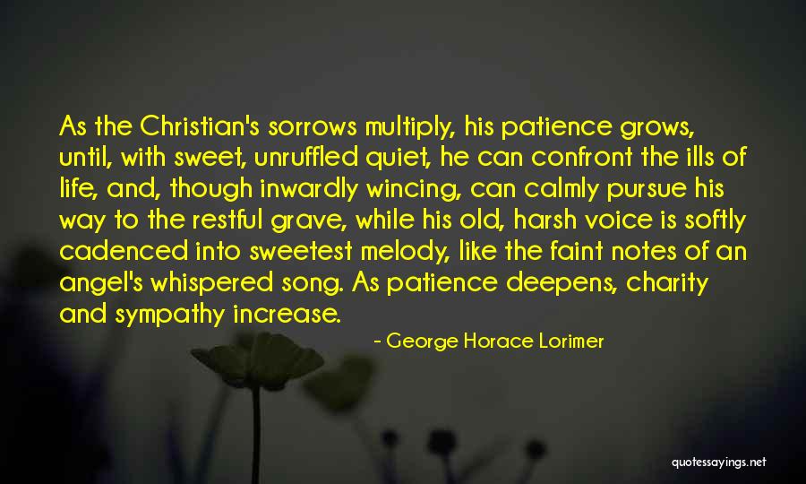 Unruffled Quotes By George Horace Lorimer