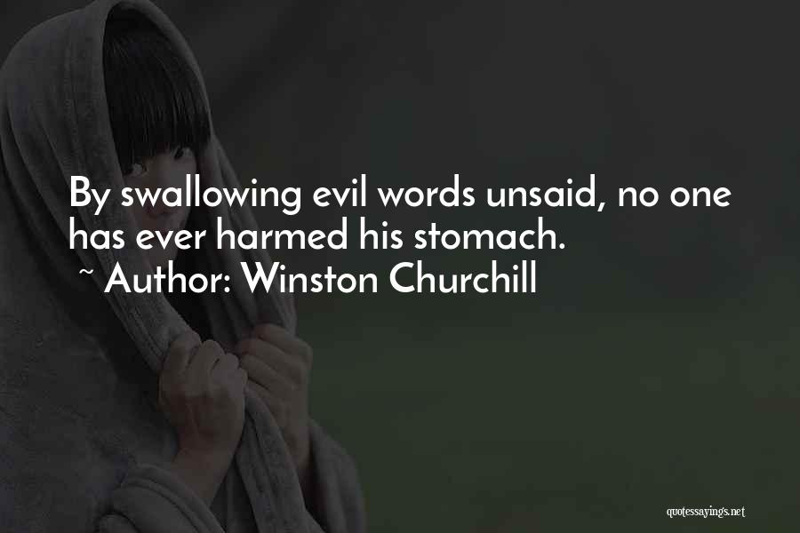 Unsaid Words Quotes By Winston Churchill