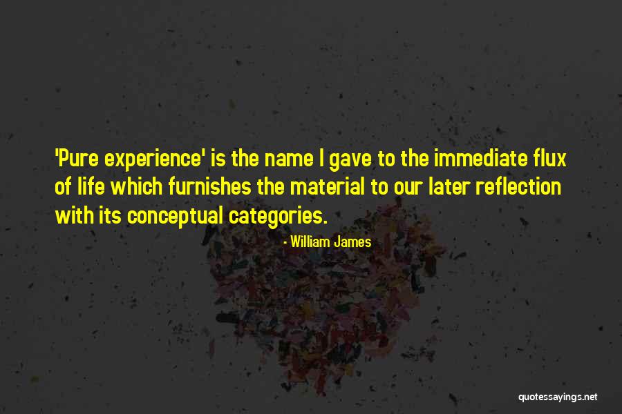 Unscriptural Songs Quotes By William James Unscriptural Songs Quotes By William James