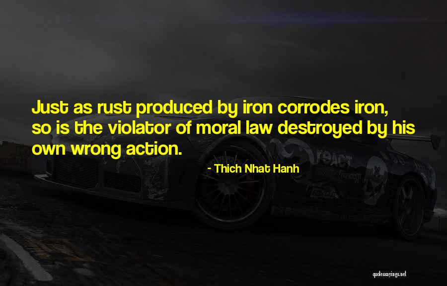 Unseamed Shakespeare Quotes By Thich Nhat Hanh Unseamed Shakespeare Quotes By Thich Nhat Hanh