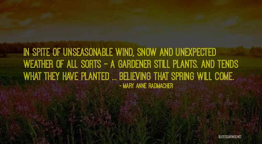 Unseasonable Quotes By Mary Anne Radmacher Unseasonable Quotes By Mary Anne Radmacher