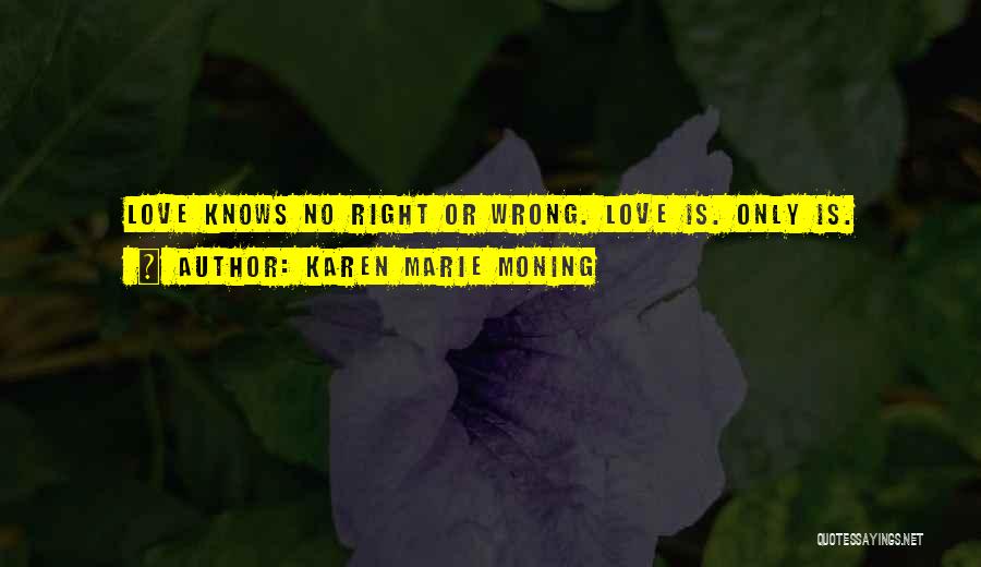 Unseelie Quotes By Karen Marie Moning